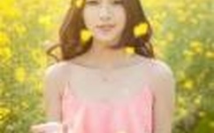 华人城另类小说